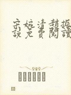 宋婉清赵振国小说免费阅读