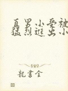 直男小受被粗大猛烈进出小说