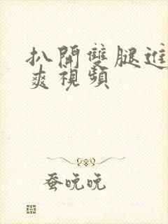 扒开双腿进入爽爽视频