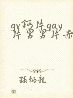 gv钙片gay片男男片赤兔片