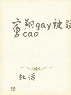 宏翔gay被猛男cao