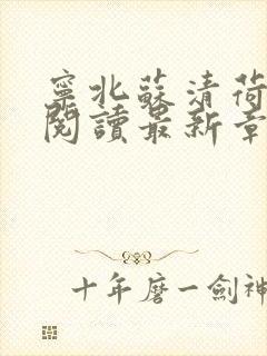 宁北苏清荷免费阅读最新章节笔趣阁封面