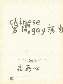 chinese男同gay视频网站