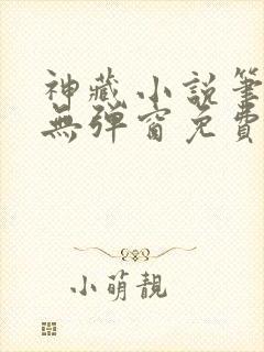 神藏小说笔趣阁无弹窗免费