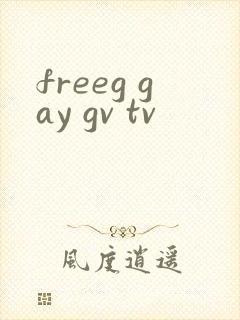 freeg gay gv tv封面