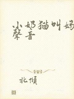 小奶猫叫妈妈的声音