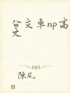 公交车np高h文