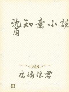 沈知意小说女主角封面