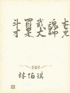 斗罗武魂本体我才是大师免费