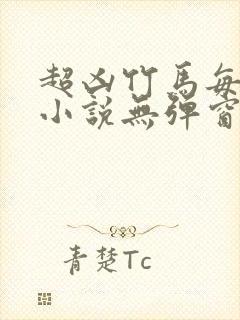 超凶竹马每天骑小说无弹窗笔趣阁封面