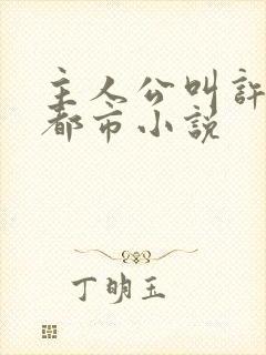 主人公叫许阳的都市小说