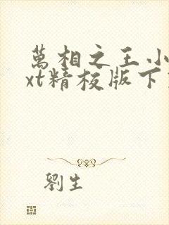 万相之王小说txt精校版下载