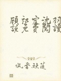 顾祁宸沈羽栀小说免费阅读最新章节封面