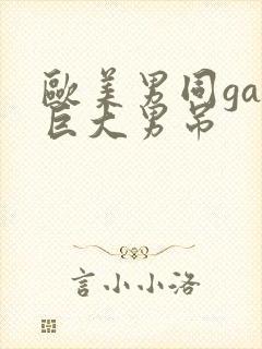 欧美男同gay巨大男吊