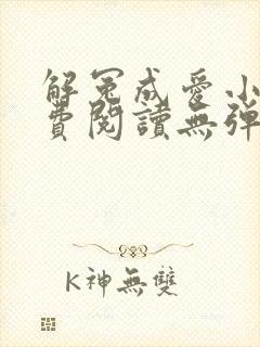 解冤成爱小说免费阅读无弹窗封面