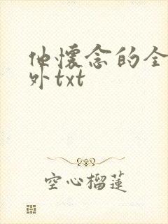 他怀念的全文番外txt