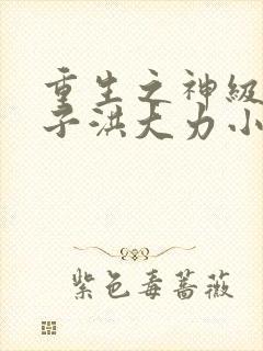 重生之神级败家子洪大力小说精校版全集