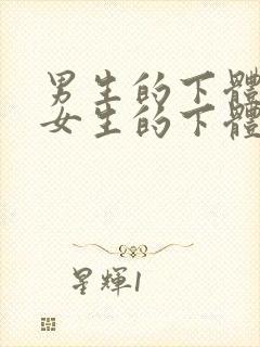 男生的下体插进女生的下体