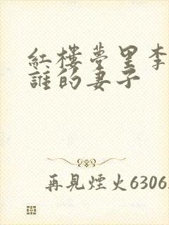 红楼梦里李纨是谁的妻子