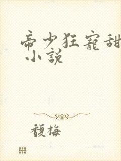 帝少狂宠甜蜜妻 小说