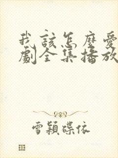 我该怎么爱你短剧全集播放