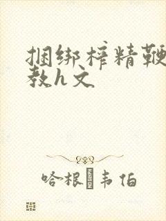 捆绑榨精鞭打调教h文封面