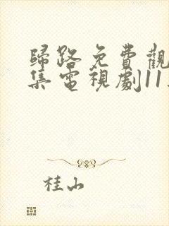 归路免费观看全集电视剧11集