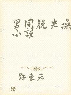 男同脱光操屁眼小说