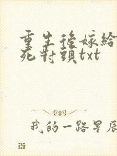 重生后嫁给前夫死对头txt封面