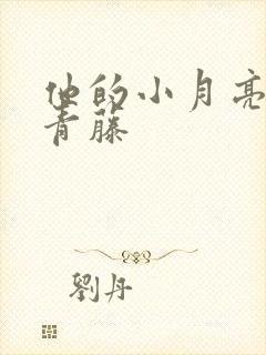 他的小月亮by青藤封面