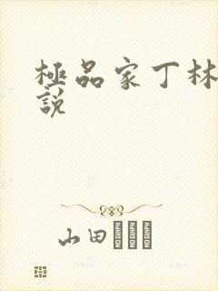 极品家丁林三小说