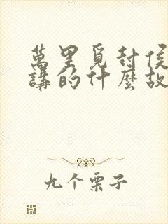 万里觅封侯小说讲的什么故事