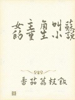 女主角叫苏倾城的重生小说