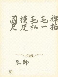 国模毛毛裸体大尺度私一拍