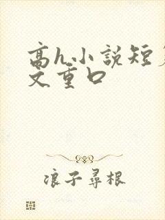 高h小说短篇辣文重口