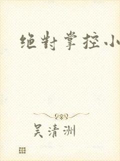 绝对掌控小说