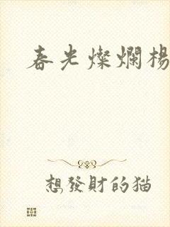 春光灿烂杨家将