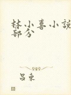 林小喜小说第二部分