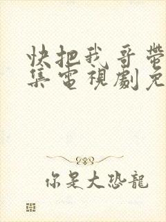 快把我哥带走全集电视剧免费观看封面