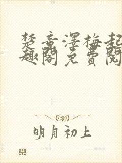 楚意泽梅起岚笔趣阁免费阅读封面