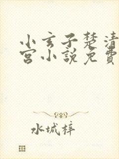 小玄子楚清玄后宫小说免费阅读