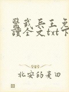 医武兵王免费阅读全文txt下载