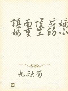 镇南侯府嫡女萧嫣重生的小说