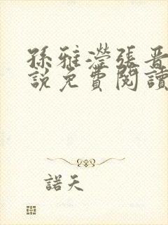 孙雅滢张晋的小说免费阅读无弹窗