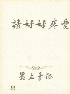 请好好疼爱里面