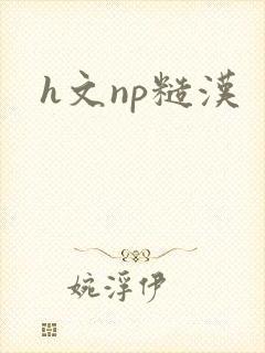 h文np糙汉