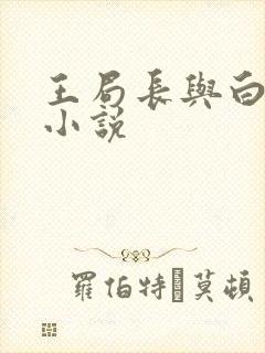 王局长与白浩的小说