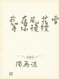 我在风花雪月里等你后续