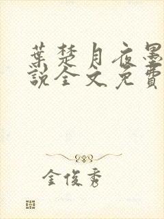 叶楚月夜墨寒小说全文免费最新封面