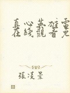 真心英雄电视剧在线观看免费完整版